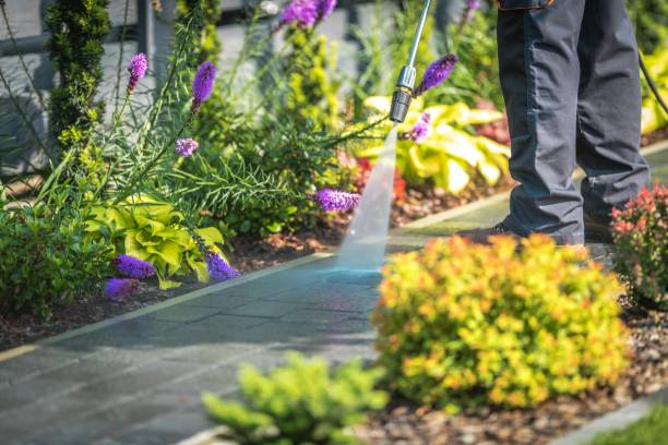 Best Spring Cleaning  in Sugarmill Woods, FL